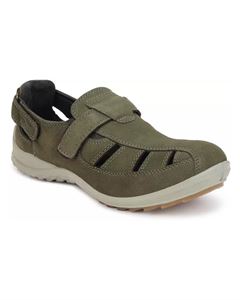 Picture of Woodland 1196112 Olive