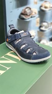 Picture of  Woodland 4270122 Navy