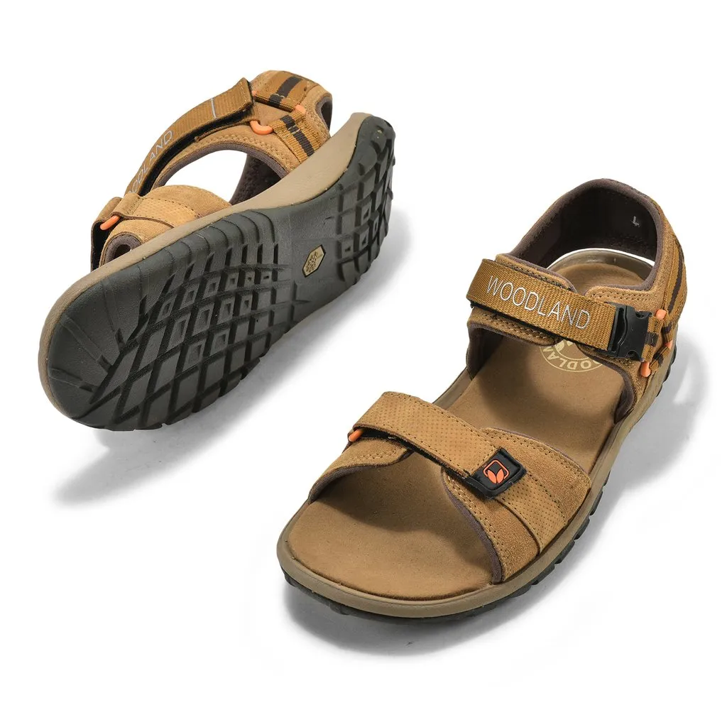 Woodland 4243122 Camel