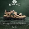 WOODLAND 6294124
