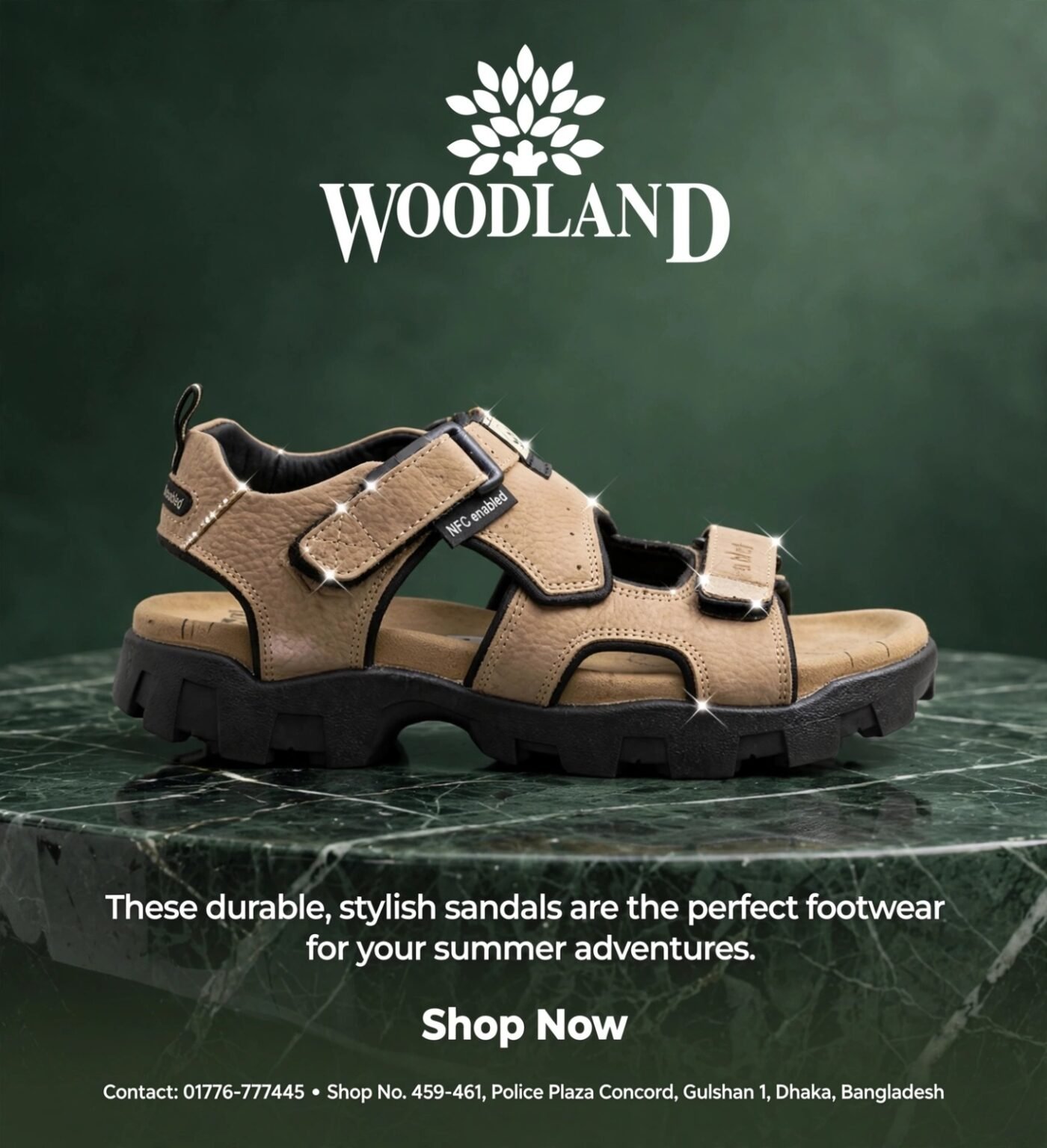 WOODLAND 6294124