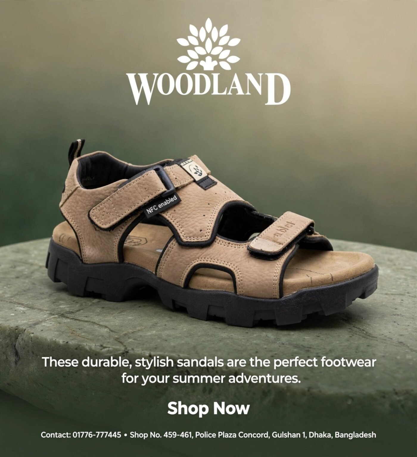 WOODLAND 6294124