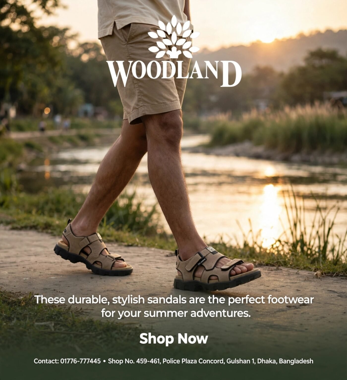 WOODLAND 6294124